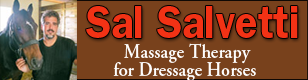 Sal Salvetti Massage Therapy for Dressage Horses