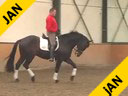 Johann Rockx<br>From Essen, Belgium<br>Riding & Lecturing<br>Sambuca<br>KWPN<br>by: Contango<br>7 yrs. old Gelding<br>Training: PSG<br>Duration: 31 minutes