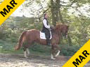 Leunis Van Lieren<br>Riding and Lecturing<br>Hexagon Truppa<br>6 yrs. old Gelding<br>Training: Training Level<br>Duration: 30 minutes