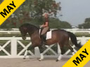 Available on DVD No.26<br>Day 1<br>Betsy Steiner<br>Riding & Lecturing<br>Naomi<br>KWPN<br>11 yr. old Mare<br>Training: Grand Prix<br>Owner: Janet Bell<br>Duration: 47 minutes