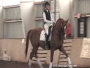 NEDA Fall Symposium<br>
Steffen Peters<br>
Riding & Lecturing &<br>
Assisting<br>
Kim Richmond<br>
Katahvi<br>
Trakehner<br>
17 yrs. old Gelding<br>
Training: 4th Level<br>
Duration: 45 minutes