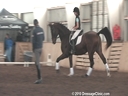 NEDA Fall Symposium<br>
Steffen Peters<br>
& Shannon Peters<br>
Assisting<br>
Hannah McCabe<br>
GB Classic<br>
Rheinland<br>
16 yrs, old Gelding<br>
Training: 2nd Level<br>
Duration: 41 minutes


