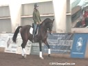 NEDA Fall Symposium<br>
Shannon Peters<br>
Riding & Lecturing &<br>
Assisting<br>
Hannah McCabe<br>
GB Classic<br>
Rheinland<br>
16 yrs. old Gelding<br>
Training: 2nd Level 
Duration: 33 minutes