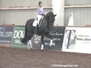 NEDA Fall Symposium<br>
Steffen Peters<br>
Riding & Lecturing &<br> 
Assisting<br>
Jennifer Wilson-Horr<br>
Unika<br>
by: Contango<br>
8 yrs old Gelding Dutch<br>
Training: Intermediaire<br>
Duration: 55 minutes