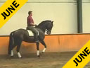 Johann Rockx<br>Riding & Lecturing<br>Sanbuca<br>KWPN<br>6 yrs. old Gelding<br>Training: 3rd/4th Level<br>Duration: 34 minutes