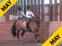 Jeremy Steinberg
Assisting
Esmee Ingham
Norrhsman
Sweedish
14 yrs. old Gelding
Training: Young Riders
Duration: 53 minutes
