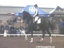 NEDA Fall Symposium<br>
Steffen Peters<br>
Assisting<br>
Jutta Lee<br>
Riding<br>
Glorious Feeling<br>
Training: 2nd Level<br>
Duration: 40 minutes



