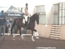 NEDA Fall Symposium<br>
Steffen Peters<br>
Assisting<br>
Jessica Jo Tate<br>
Faberge<br>
Westfalen<br>
7 yrs. old<br>
Training: PSG
Owner: Elizabeth Guarisco-Wolf<br>
Duration: 36 minutes

