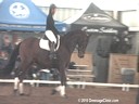 NEDA Fall Symposium<br>
Shannon Peters<br>
Assisting<br>
Martyna Echilczuk<br>
Tycho<br>
by: Krack C.<br>
Dutch Warmblood<br>
10 yrs. old<br> 
Training: 3rd Level<br>
Duration: 30 minutes
