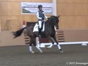 NEDA Fall Symposium<br>Day 2<br>
Ashley Holzer<br>
Stephen Clarke<br>
Assisting<br>
Taylor Noonan<br>
Magical<br> 15 yrs. old Mare<br>
by: Hailo<br>
Duration: 34 minutes

