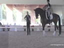 USDF Trainers Conference<br>
Lilo Fore &<br>
Christian Matthiesen<br>
Assisting<br>
Alexandra du Celliee Muller<br>
Rumba<br>
Oldenburg<br>
9 yrs. Old Gelding<br>
by: Rotspon<br>
Training: FEI Level<br>
Duration: 12 minutes


