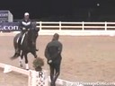 Available on DVD No.3<br>PRCS Professional Riders Clinic Symposium<br>Hubertus Schmidt<br>Interactive Session<br>Steffen Peters<br>Jim Brandon<br>Equestrian Center<br>Wellington Florida<br>Duration: 32 minutes