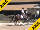 USDF APPROVED<br>
University Accreditation<br>
Steffen Peters<br>
Riding & Lecturing<br>
Lord ChalKhill<br>Oldenburg<br>
4 yrs. old Stallion<br>Training: 1st Level<br>
Duration:25 minutes