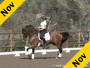 Elizabeth Ball<br>Riding and Lecturing<br>Orion<br>12 yrs. old KWPN<br>by: Fleminghn<br>Training: Grand Prix<br>Duration: 45 minutes