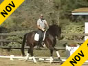 USDF APPROVED<br>
University Accreditation<br>
Steffen Peters<br>Riding & Lecturing<br>San Rubin<br>Oldenburg<br>5 yrs. old Stallion<br>Training: FEI <br>Duration: 28 minutes