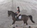 USDF
West Coast Trainers Conference
Stephen Clarke
Assisting
Shelly Francis
Danilo
10 yrs. Old Gelding
Hanoverian
by: DeNiro
Owner: Patricia Stempel
Duration: 37 minutes
