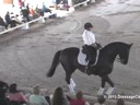 USDF
West Coast Trainers Conference
Stephen Clarke
Assisting
D’Re Stergios
Sarumba
8 yrs. Old Mare
Hanoverian
by:  Sir Donnerhall I
Owner:  D’Re Stergios
Duration: 33 minutes
