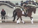 USDF
West Coast Trainers Conference
Stephen Clarke
Assisting
Shelly Francis
Danilo
10 yrs. Old Gelding
Hanoverian
by: DeNiro
Owner: Patricia Stempel
Duration: 26 minutes
