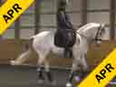 Kathy Connelly<br>
Assisting<br>
Suzie Halle<br>
Tennyson<br>
KWPN<br>
by: Contango<br>
16 yrs. old Gelding<br>
Training: GP<br>
Owner: Suzie Halle<br>
Duration: 30 minutes