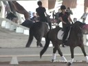 USDF
West Coast Trainers Conference
Stephen Clarke
Assisting
Noel Williams
Sir Velo
Westfalen
8 yrs. Old Gelding
by: Sandro Bedo
Owner: Melissa Mulchahey
Duration: 21 minutes
