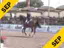Guenter Seidel<br>
Riding<br>
Nikolaus<br>
Freestyle<br>
In German Language<br>
Duration: 31 minutes