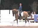 PRCS Professional Riders Clinic Symposium<br>
Hubertus Schmidt<br>
Assisting<br>
Betsy Steiner<br>
Jim Brandon<br>
Equestrian Center<br>
Wellington Florida<br>
Duration: 38 minutes