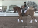 USDF Trainers Conference<br>USDF APPROVED<br>
University Accreditation<br>Day 2<br>
"FEI 4 Year Olds"<br>
Christoph Hess<br>
Assisting<br>
Endel Ots<br>
Exodus<br>
3 yrs. old Stallion<br> 
Duration: 51 minutes
