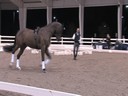 PRCS Professional Riders Clinic Symposium<br>
Bo Jena<br>
A Lecture<br>
and Demonstration on<br>
Long Lining<br>
The Dressage Horse<br>
Jim Brandon<br>
Equestrian Center<br>
Wellington Florida<br>
Duration: 36 minutes