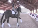 USDF Trainers Conference<br>
Lilo Fore &<br>
Christian Matthiesen<br>
Assisting<br>
Dana Fiore<br>
So Special<br>
Oldenburg<br>
7 yrs. Old Gelding<br>
by: Sandro Hit<br>
Training: FEI Level<br>
Duration: 33 minutes


