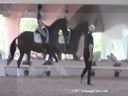 USDF Trainers Conference<br>
Lilo Fore &<br>
Christian Matthiesen<br>
Assisting<br>
Dana Fiore<br>
So Special<br>
Oldenburg<br>
7 yrs. Old Gelding<br>
by: Sandro Hit<br>
Training: FEI Level<br>
Duration: 27 minutes


