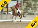 Stephen Clarke<br>
Assisting<br>
Shannon Dueck<br>
Allegro<br>
7 yrs old<br>
British Sport Horse<br>
Training: 4th Level<br>
Owned by: Sally Alksnis & Shannon Dueck<br>
Duration: 37 minutes
