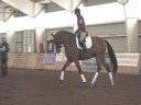 Available on DVD No.3<br>Day 1<br>NEDA Fall Symposium<br>Hubertus Schmidt<br>Assisting<br>Emily Gershberg<br>Zatino H<br>5 yrs. old Gelding<br>KWPN<br>Training: 2nd Level<br>Duration: 54 minutes