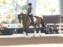 Available on DVD No.8<br>PRCS Professional Riders Clinic Symposium<br>Hubertus Schmidt<br>Assisting<br>Jan Brons<br>Jim Brandon<br>Equestrian Center<br>Wellington Florida<br>Duration: 43 minutes