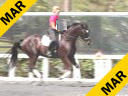 Available on DVD No.16<br><br>Betsy Steiner<br>Riding & Lecturing<br>Titaan<br>KWPN<br> 5 yr. old Gelding<br>Training: Level 1<br>Duration: 39 minutes
