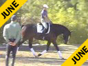 Jan Ebeling
Assisting Laura Cooper
Settino
KWPN
6 yrs old Gelding
Training:2nd - 3rd Level
Duration: 47 minutes