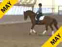 Shannon Dueck<br>
Riding & Lecturing<br>
Cantaris<br>
13 yrs. Old Gelding<br>
Hanoverian<br>
by: Compliment<br>
Training:  GP<br>
Owner: Elizabeth Ferber<br>
Duration: 43 minutes

