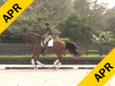 Volker Brommann<br>
Assisting<br>
Robyn Dorius<br>
Estrella Fachenda R<br>
16 yrs. Old Andalusian Mare<br>
by: Altivo<br>
Training: 1st Level<br>
Duration: 25 minutes

