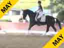 USDF<br>
West Coast Trainers Conference<br>
Stephen Clarke<br>
Assisting<br>
D'Re Stergios<br>
Sarumba<br>
9 yrs. Old<br> 
Hanoverian<br>
Duration: 38 minutes

