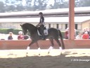 USDF
West Coast Trainers Conference
Stephen Clarke
Assisting
Amelia Newcomb
Gatsby
5 yrs. Old Gelding
KWPN
Duration: 38 minutes

