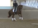 IDCTA Illinios Dressage & Combined Training Association<br>
Lilo Fore<br>
Assisting<br>
Jennifer Kotylo<br>
Nimo<br>
Training: GP<br>
Duration: 49 minutes
