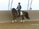 IDCTA Illinios Dressage & Combined Training Association<br>
Lilo Fore<br>
Assisting<br>
Heather McCarthy<br>
Saphira<br>
Training: I1-I2<br>
Duration: 52 minutes
