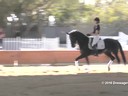 USDF<br>
West Coast Trainers Conference<br>
Stephen Clarke<br>
Assisting<br>
D’Re Stergios<br>
Sarumba<br>
9 yrs. Old<br> 
Hanoverian<br>
Duration: 34 minutes


