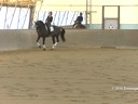 IDCTA Illinios Dressage & Combined Training Association<br>
Lilo Fore<br>
Assisting<br>
Paula Briney<br>
Willemna<br>
Training: PSG<br>
Duration: 46 minutes
