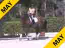 IDCTA Illinios Dressage & Combined Training Association<br>
Lilo Fore<br>
Assisting<br>
Jennifer Kotylo<br>
Nimo<br>
Training: GP Level<br>
Duration: 45 minutes
