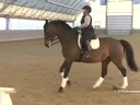 IDCTA Illinios Dressage & Combined Training Association<br>
Lilo Fore<br>
Assisting<br>
Amanda Johnson<br>
Riding<br>
Dullineya<br>
Mare<br>
Duration: 31 minutes

