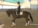 IDCTA Illinios Dressage & Combined Training Association
Lilo Fore
Assisting
Nicole Smith
Riding
Elmo
Duration: 44 minutes
