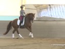 IDCTA Illinios Dressage & Combined Training Association<br>
Lilo Fore<br>
Assisting<br>
Paula Briney<br>
Willemna<br>
Training: PSG<br>
Duration: 48 minutes
