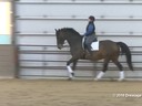 IDCTA Illinios Dressage & Combined Training Association<br>
Lilo Fore<br>
Assisting<br>
Samantha Melchiori<br>
Ali Jandro<br>
Training: 1st  Level<br>
Duration: 33 minutes
