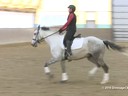 IDCTA Illinios Dressage & Combined Training Association<br>
Lilo Fore<br>
Assisting<br>
Heather McCarthy<br>
Saphira<br>
Training: I1-I2<br>
Duration: 45 minutes
