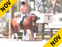 USDF APPROVED<br>University Accreditation<br>George Williams<br>
Assisting<br>
Laura Noyes<br>
Synchro<br>
"Young Riders"<br>
11 yrs. old<br>
Duration: 40 minmutes
